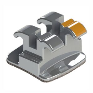 1010202 BRAQ ROTH STANDARD (022) D12 MORELLI