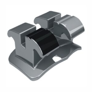 1010212 BRAQ ROTH STANDARD(022) D43 MORELLI