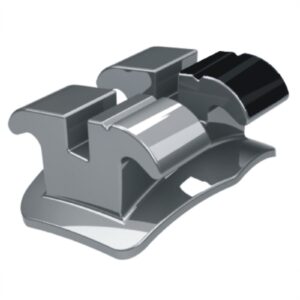 1010213 BRAQ ROTH STANDARD(022) D33 MORELLI