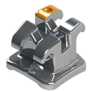 1015302 BRAQ ROTH MAX 018 D12 MORELLI