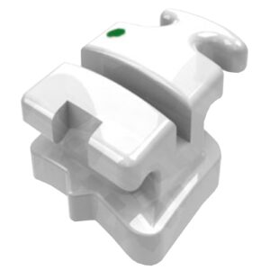 1017005 BRAQ ROTH COMPOSITE 022 D13 GANCHO MORELLI