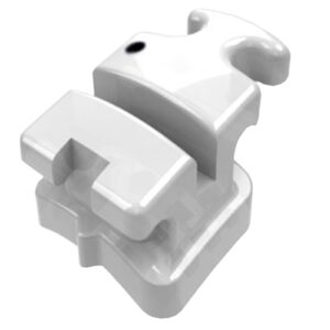 1017011 BRAQ ROTH COMPOSITE 022 D33 MORELLI