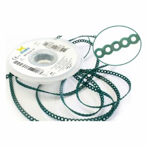 6005107 ELASTICO CORRENTE CURTO VERDE MUSGO 1,5M MORELLI